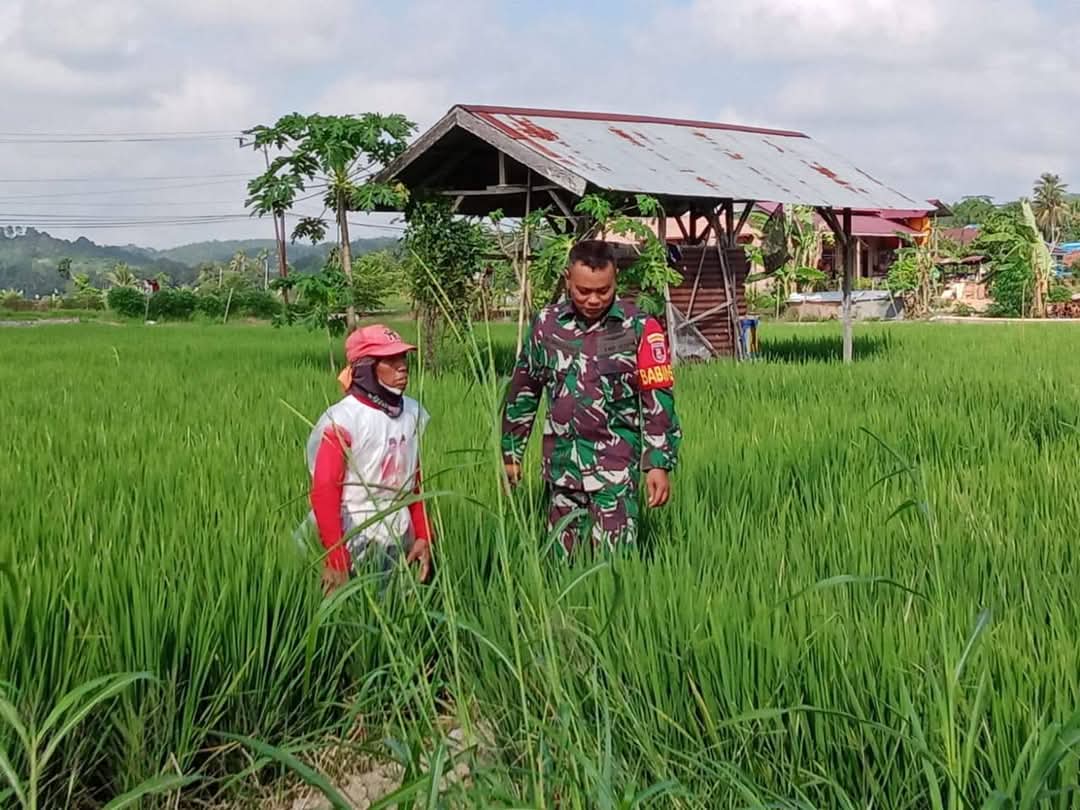 FB_IMG_1744160308131