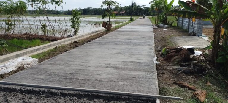 FB_IMG_1748474643968