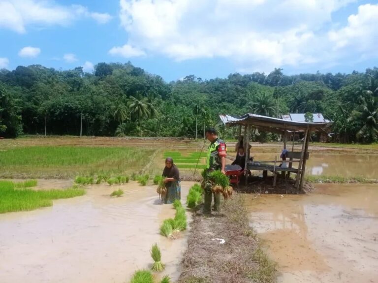 FB_IMG_1749619208856