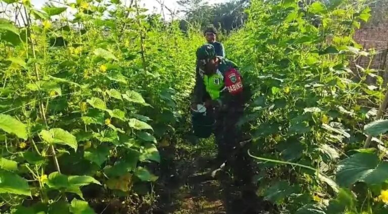 FB_IMG_1749619339975