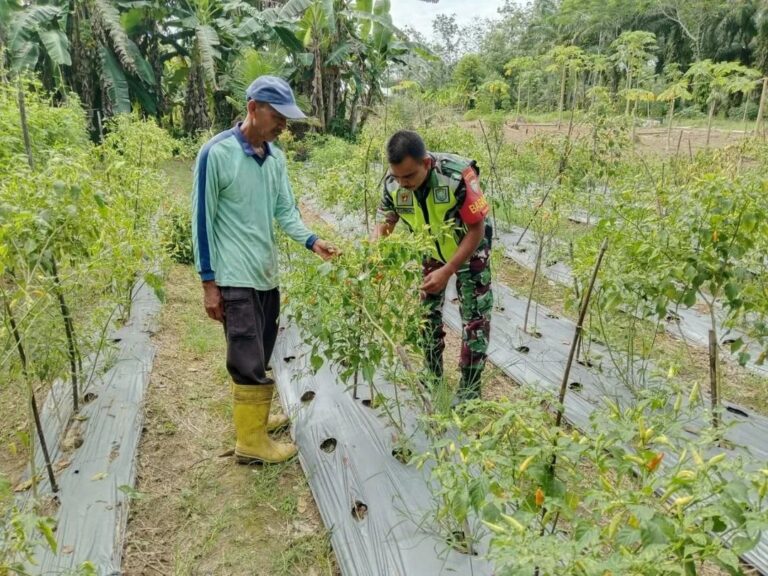 FB_IMG_1749619386241