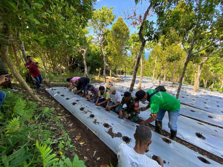 FB_IMG_1749684420077