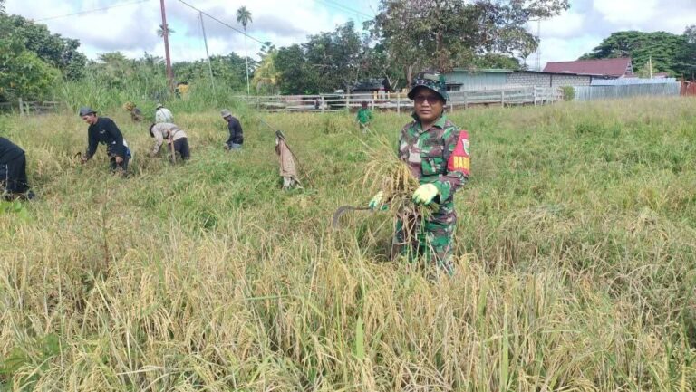 FB_IMG_1749684669452