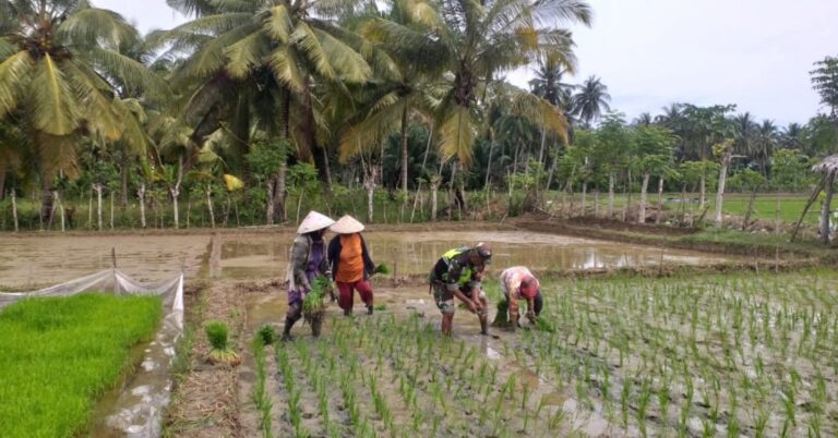 FB_IMG_1749685212438