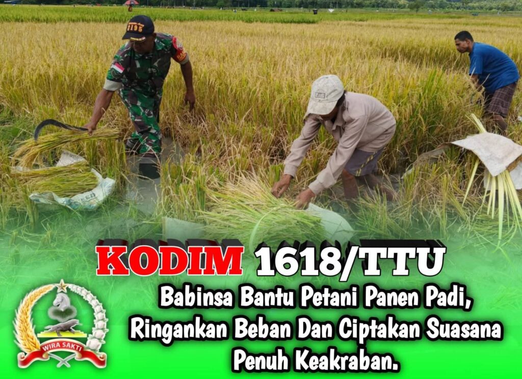 FB_IMG_1750128951265