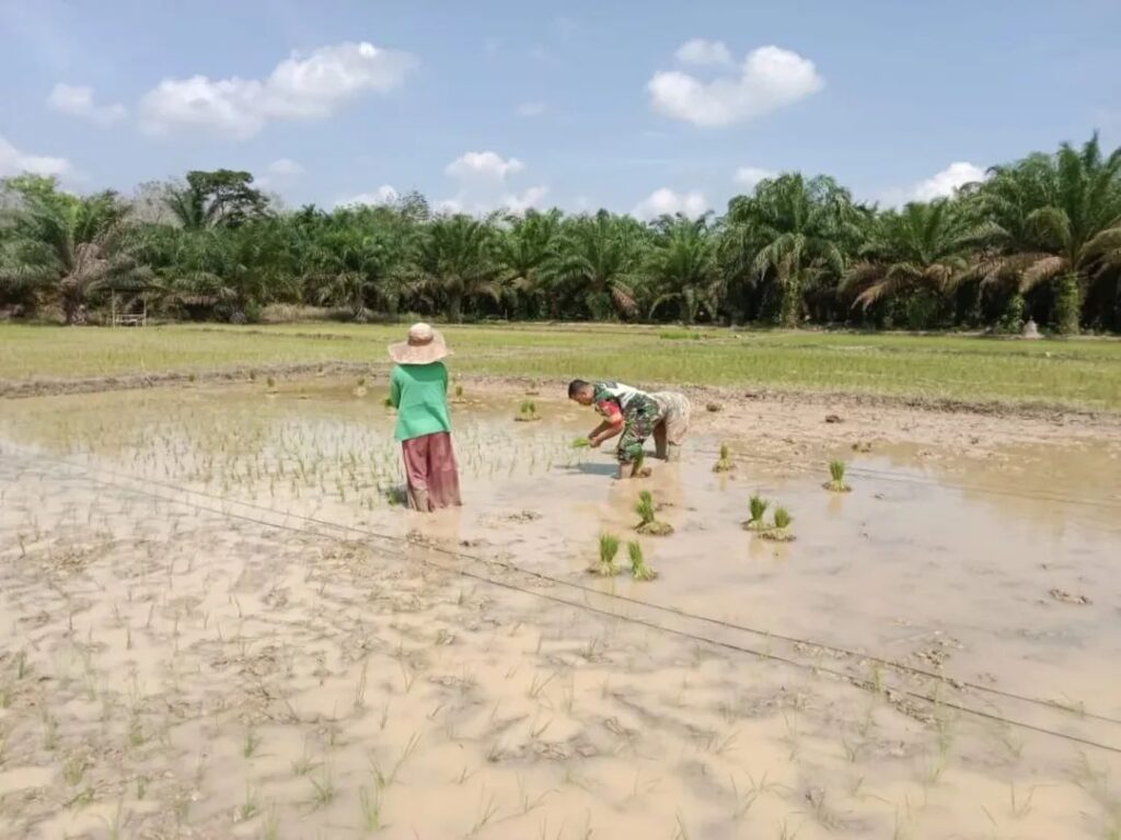 FB_IMG_1752990004760