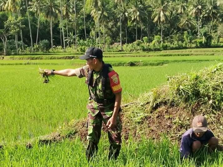 FB_IMG_1753698275348