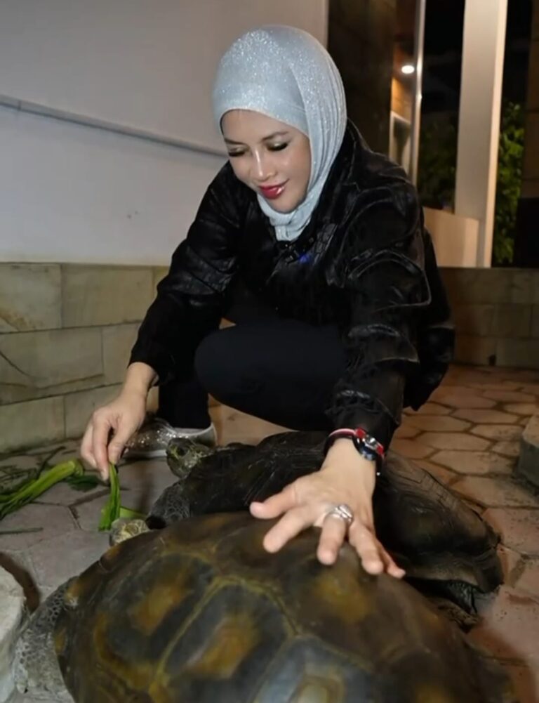 IMG-20250721-WA0115