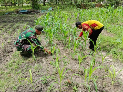 IMG-20251119-WA0060_copy_480x360